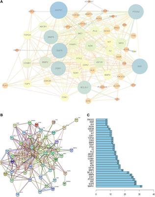 Exploring the Mechanism Whereby Sinensetin Delays the Progression of Pulmonary Fibrosis Based on Network Pharmacology and Pulmonary Fibrosis Models